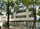 foto1